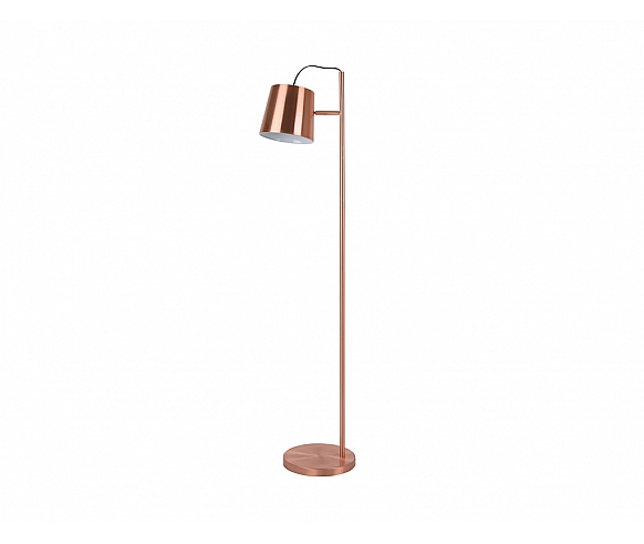 Buckle head floor lamp